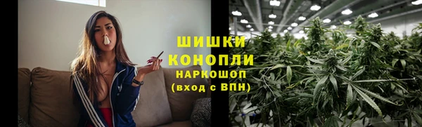 МДПВ Вязьма