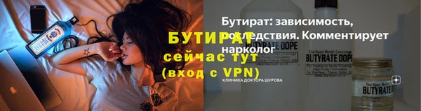 шишки Горно-Алтайск
