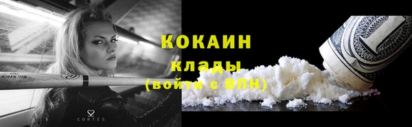 шишки Горно-Алтайск