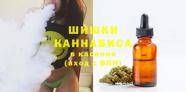 МДПВ Вязьма