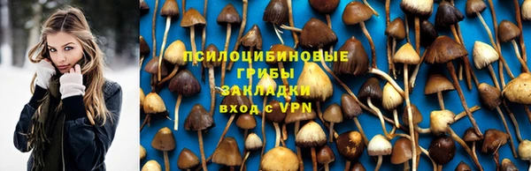 apvp Вязники