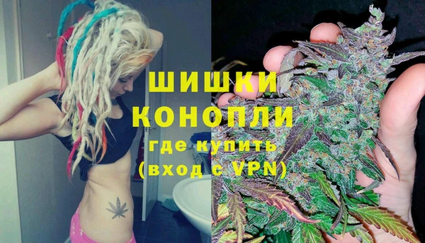 ECSTASY Вяземский