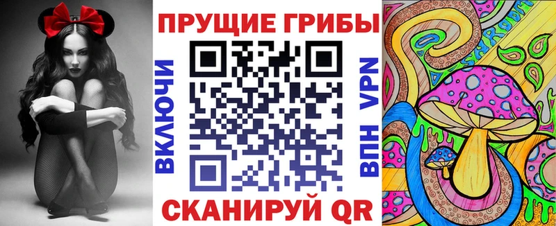 Галлюциногенные грибы Magic Shrooms  hydra онион  Елизово 