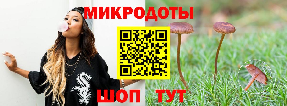 Псилоцибиновые грибы Елизово