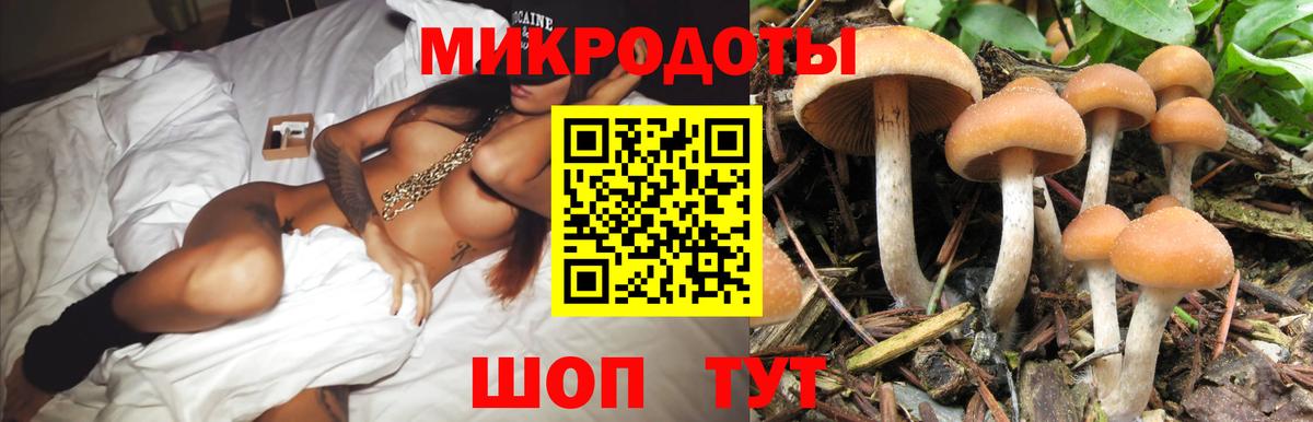 Псилоцибиновые грибы Cubensis  Вход с VPN  Елизово 