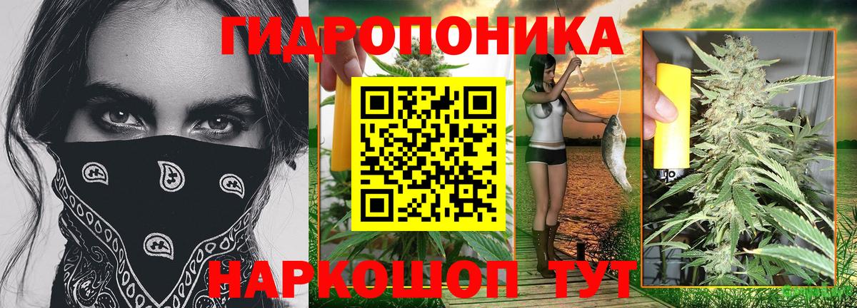 Каннабис AK-47  Марихуана планчик  Каннабис сатива  Елизово  Вход с VPN 